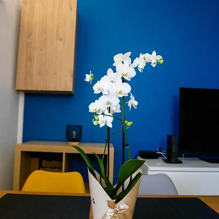 Appartamento Le Quai 60 Lens