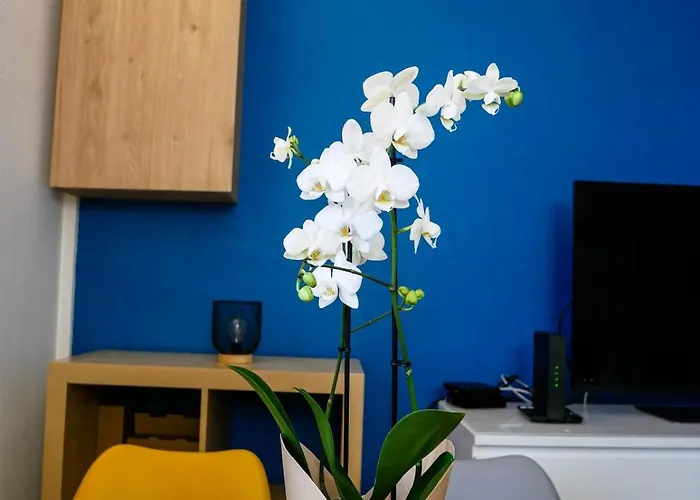 Appartamento Le Quai 60 Lens